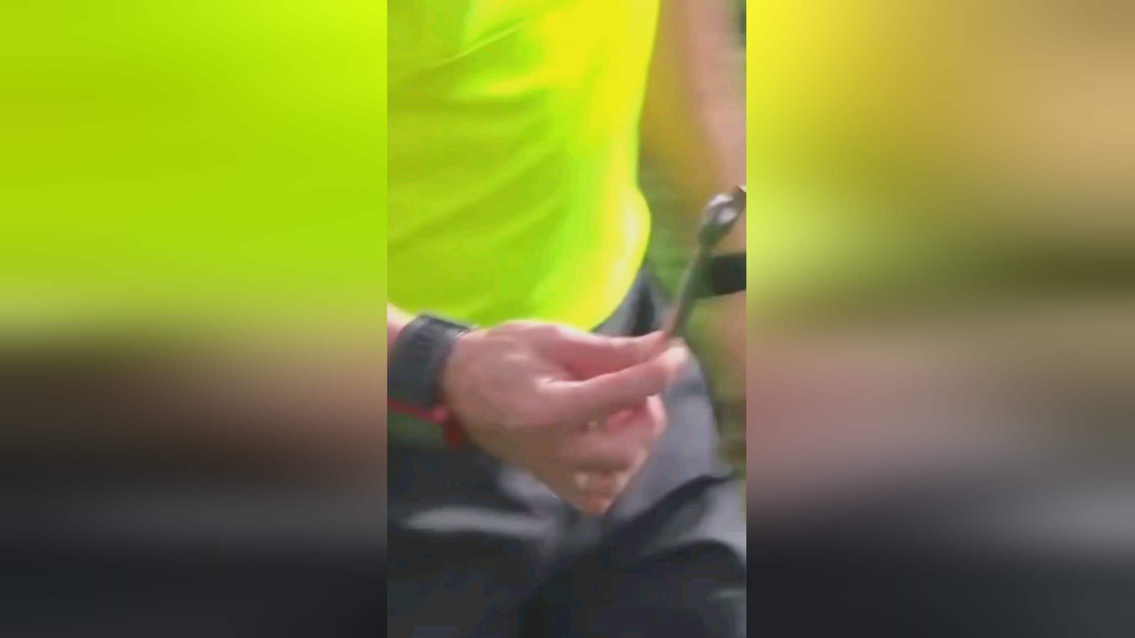 迷来说